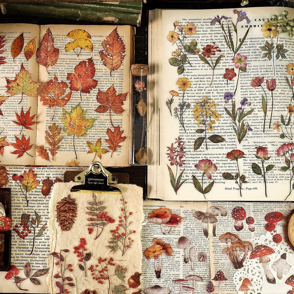 40 pieces Vintage plant PET decorative landscaping sticker Pack Adhesive diy sticker scrapbook material