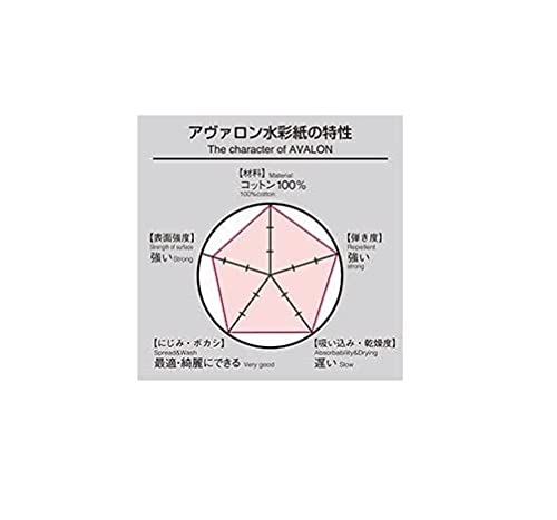 Holbein Avalon Watercolor Paper AVB-F4, Medium Grain, 300g, F4 Size, Block Type, 12 Sheets, 271003