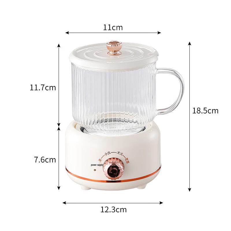 ZISIZ Multi-functional Health Tea Pot