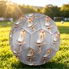 Ariana Grande Size 5 Soccer Ball, Durable Standard Football For Training Match Outdoor Sports