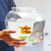 Imitation Glass Acrylic Decorative Tank Goldfish Tank Fall Climb Pet Tank Transparent Plastic Fish Tank Living Room