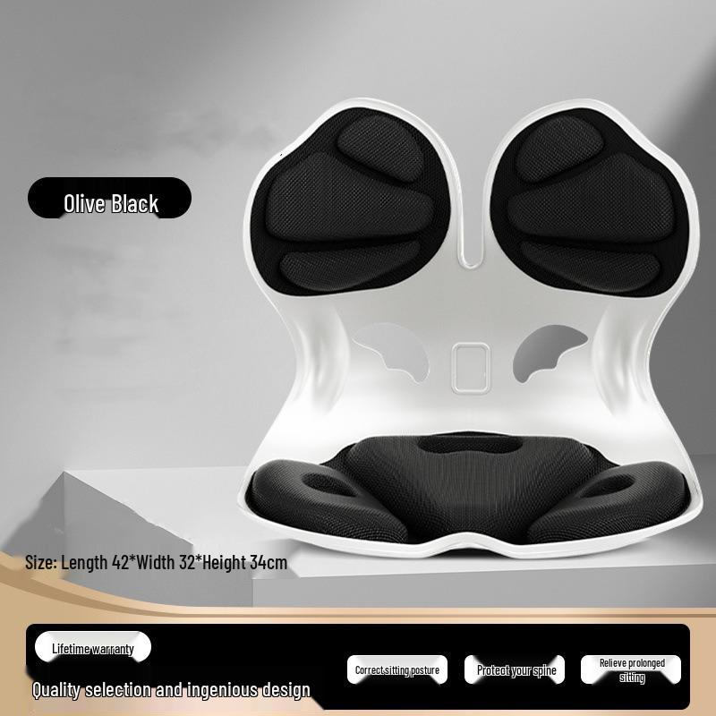 Ergonomic Lumbar Support Seat Cushion for Long Sitting - Adult Chair Backrest & Waist Support.