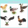 Vibrant Pvc Farm Animal Figurines Of Ducks Geese And Chickens For Children's Decor And Learning