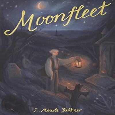 Moonfleet par J Meade Faulkner Livre de poche 9781840228236