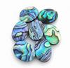 Natural Abalone Shell Oval Cabochon Gemstones for Custom Jewelry Making