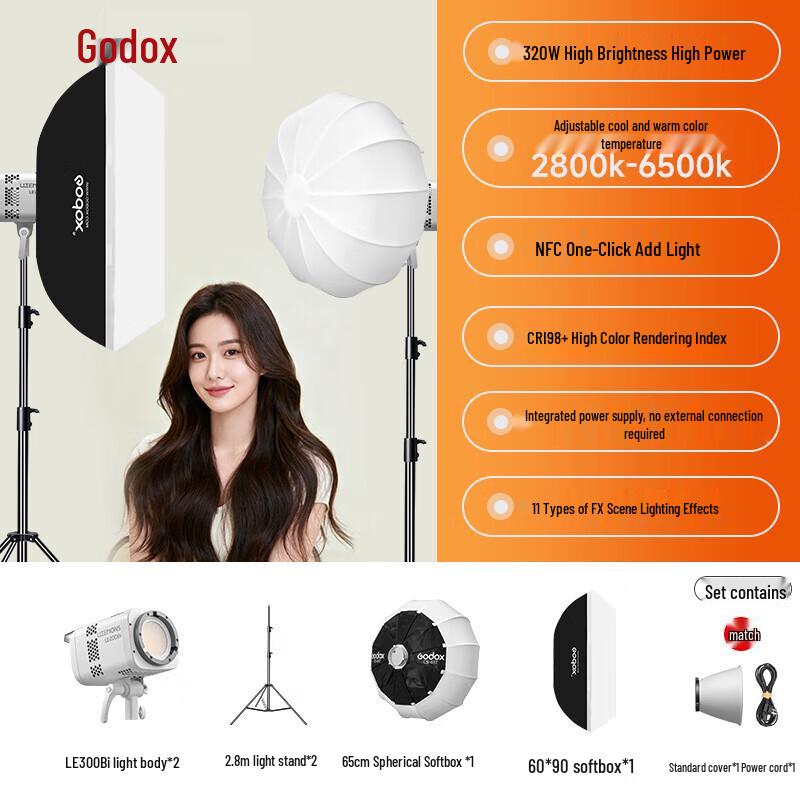 Godox LE300Bi Bi-color LED Video Light Kit