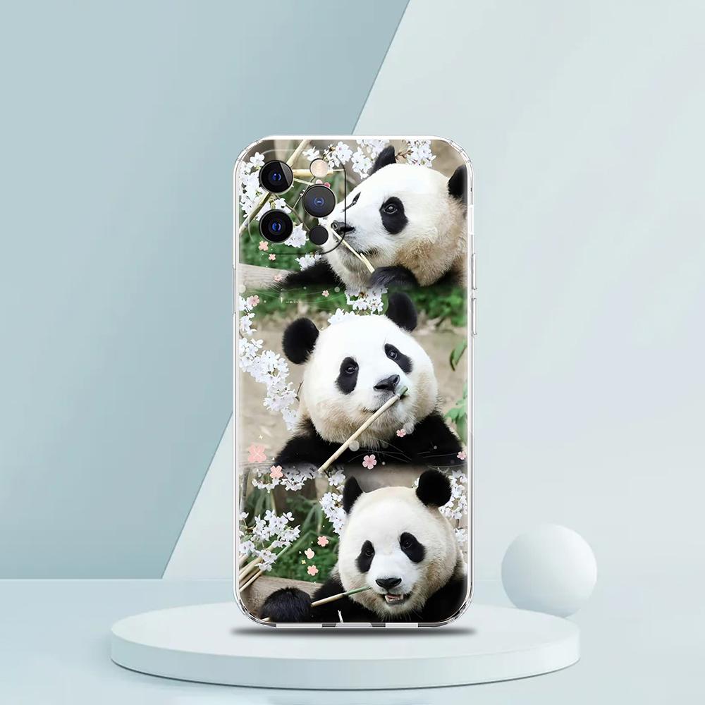 

Fubao panda Phone Case For iPhone 15 14 13 12 Mini 11 Pro Max XS X XR 7 8 Plus Clear Shockproof Silicone TPU Cover iPhone 12 mini