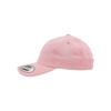 Flexfit Unisex Adult Cotton Twill Low Profile Cap