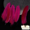 50 Colored Goose Feathers for DIY Dreamcatchers and Art Projects