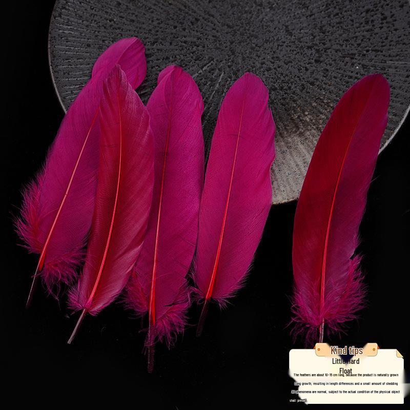 50 Colored Goose Feathers for DIY Dreamcatchers and Art Projects