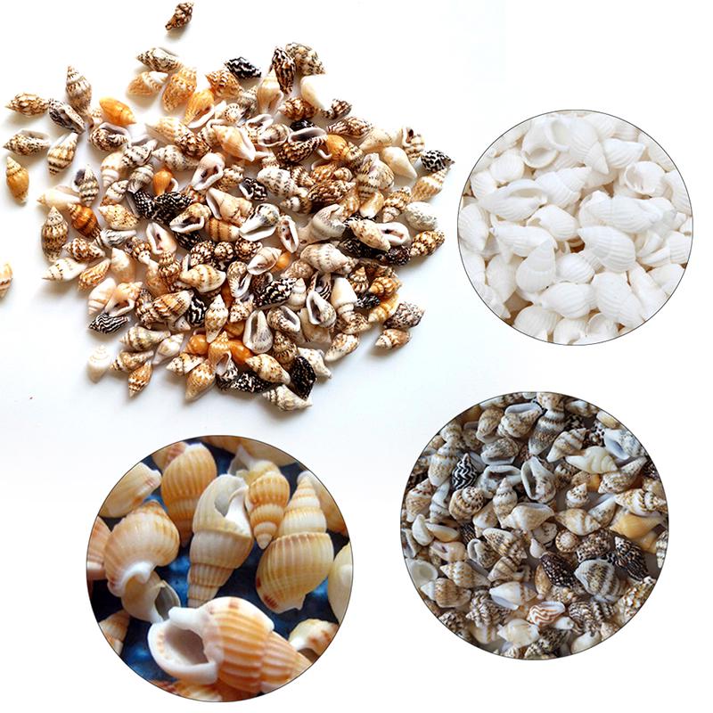 100PCS Přírodní lastury Akvarijní dekorace party festival Home Decor Přírodní mořské lastury Plážové lastury Lastury pro kutily