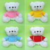 Custom Logo Teddy Bear Plush Toy - Cute Little Bear in Clothes for Gifts & Events