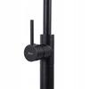 Lungo Freestanding Matte Black Floor Washbasin Tap