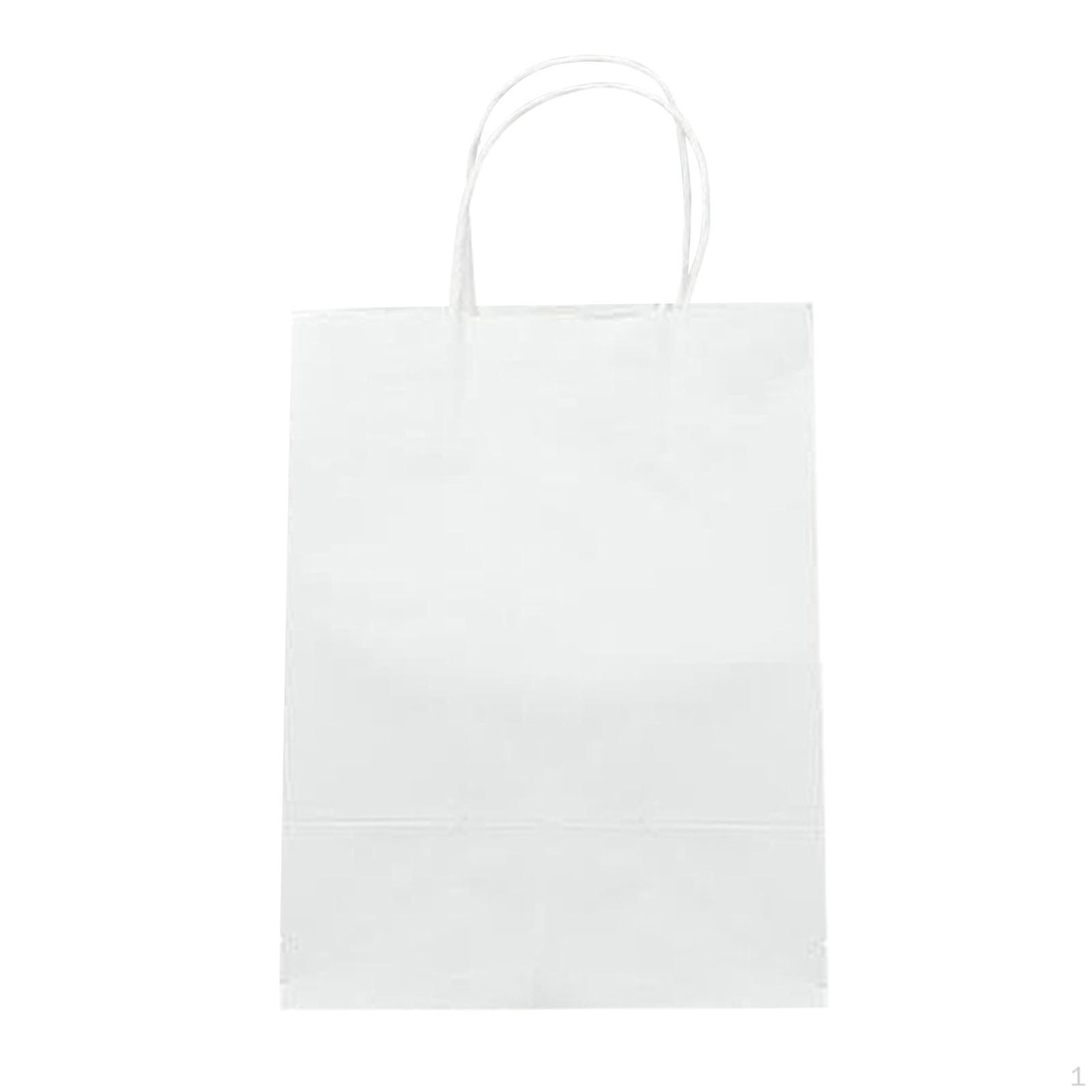 Gift Bag Party Present Goody Favor Bags Business Retail 19x14x21cm