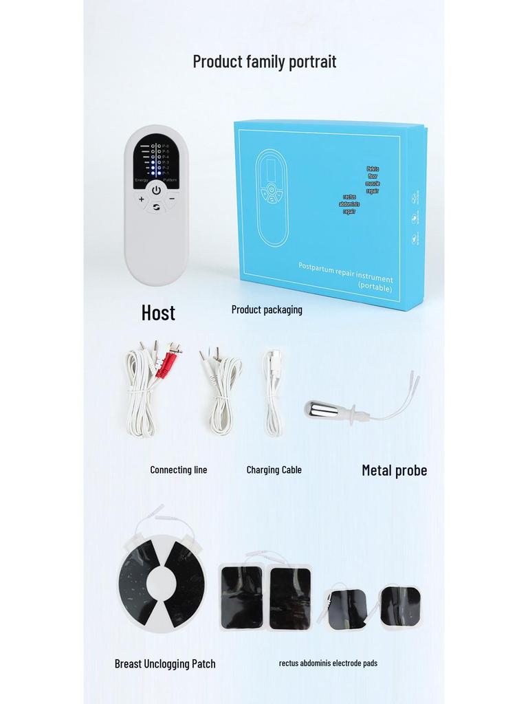 Portable Multifunctional Pelvic Floor and Abdominal Muscle Repair Device for Postpartum Recovery