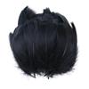 50Pcs Natural Black Goose Ostrich Feathers For Jewelry Earrings Making Diy Dream Catcher Decoration Crafts Plume Accessories
