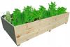 Vegetable Patch Herb Garden Inspection Box 120X80X30 Eco Wooden High
