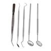 5pcs Professional Oral Health Care Pick Tools Stainless Steel Teeth Cleansing Calculus Remover Tool for Dentist