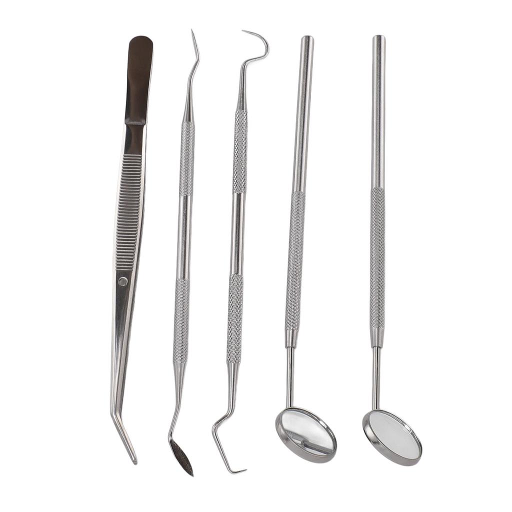 5pcs Professional Oral Health Care Pick Tools Stainless Steel Teeth Cleansing Calculus Remover Tool for Dentist