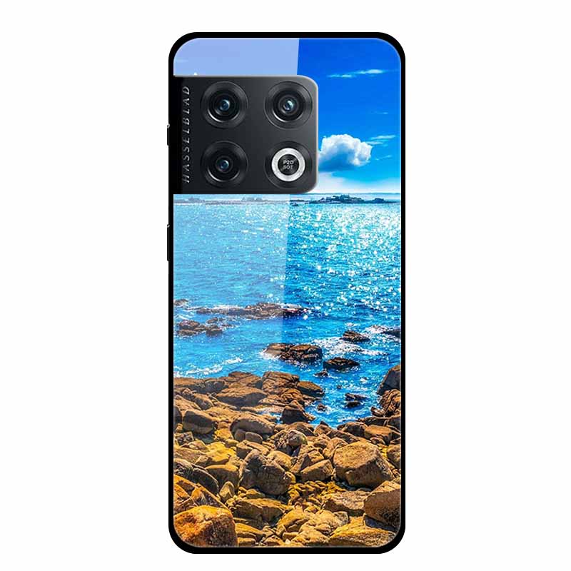 For One plus 10 Pro Case Shockproof Tempered Glass Hard Back Cover For OnePlus 10 Pro 10Pro Oneplus10 1+10 Pro Bumper Coque Case