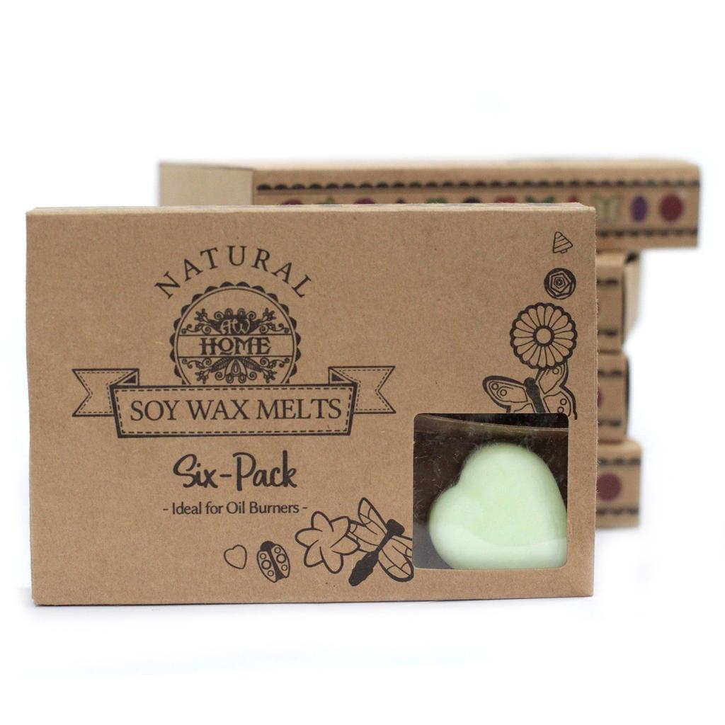 2x Apple Spice Wax Melts Box