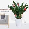 Large Potted Money Tree for Office or Living Room Decoration