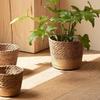 Decorative Basket Diameter 17.5cm, Height 12cm Straw Plant Basket Fresh Greenery Display Home Decor Enhancements