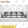 Tiger King Power Combination Trainer