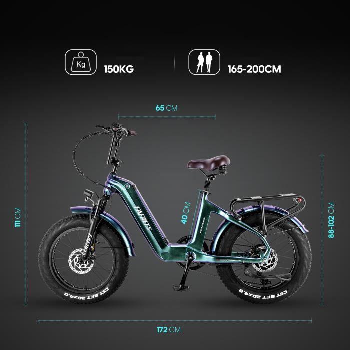 Vélo électrique - FAFREES - F20 Master - 45 KM/H - 22.5 Ah - 500W - 20 pouces noir