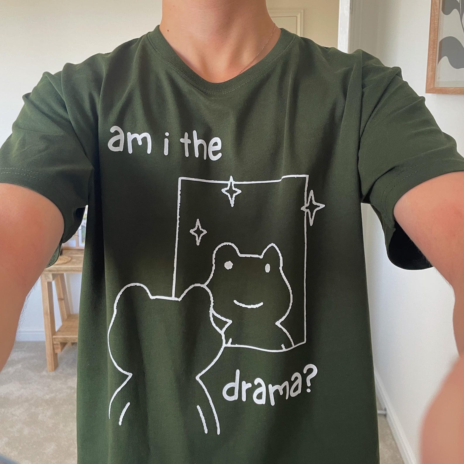 Am I the Drama Frog T-Shirt - Heavy Organic Screen Printed Cotton Tee XL