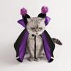 Pet Halloween Witch Costume Dog Wizard Cape Devil Horns Hat Set Pet Witch Cosplay Outfit for Cats Puppies