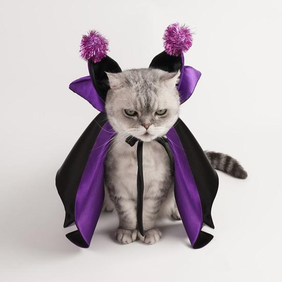 Pet Halloween Witch Costume Dog Wizard Cape Devil Horns Hat Set Pet Witch Cosplay Outfit for Cats Puppies