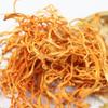 100g 500g Dried Chinese Cordyceps Militaris, Chong Cao Hua, North Cordyceps Herbal Tea