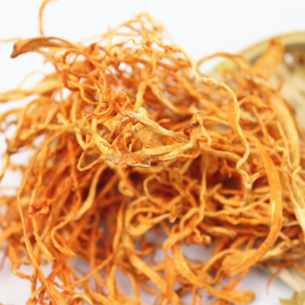 100g 500g Dried Chinese Cordyceps Militaris, Chong Cao Hua, North Cordyceps Herbal Tea