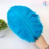 25-30Cm Colorful Ostrich Feathers, Wedding Table Flower Decoration, Wedding Decoration, Stage Performance Props Diy Jewelry