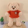 Bear Sweater Plush Toy Heart Meet Stuffed Animal Hug Birthday Decoration Gift