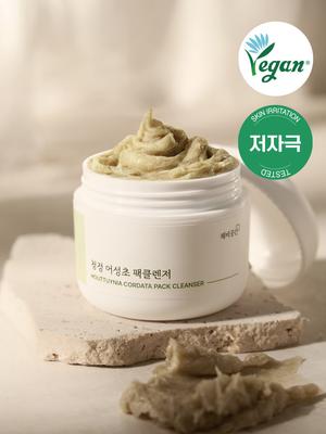 Chebii Gonggan Pure Heartleaf Pack Cleanser 45g