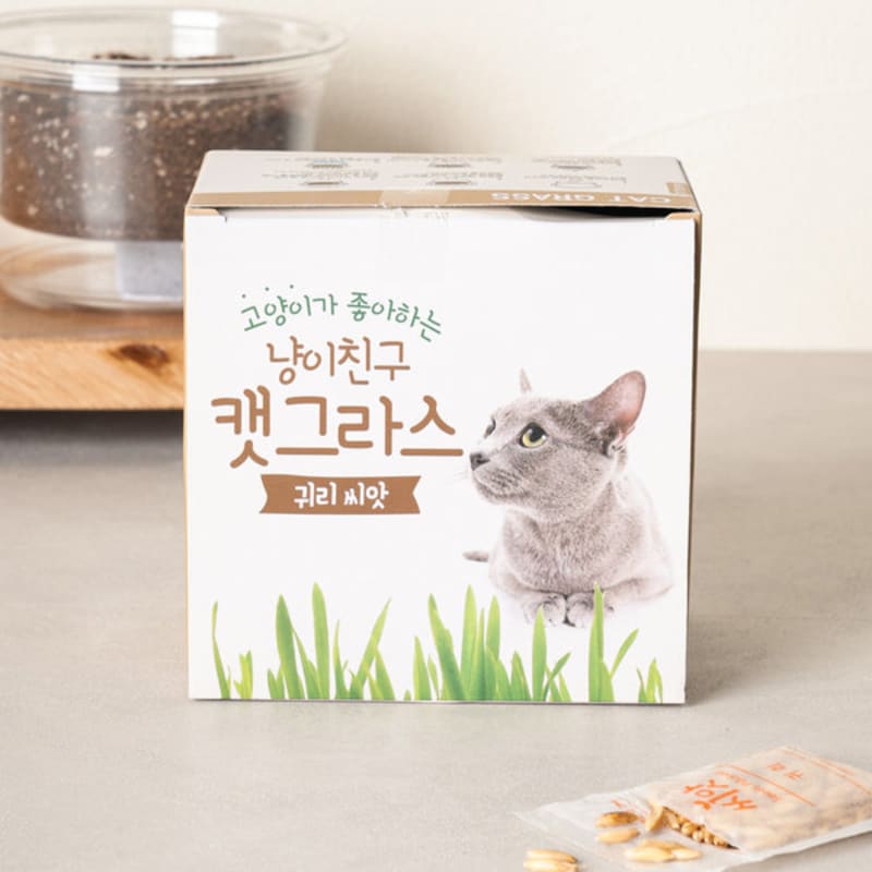 [Pet] Coom Cat Friend Catgrass Seeds (Oat)