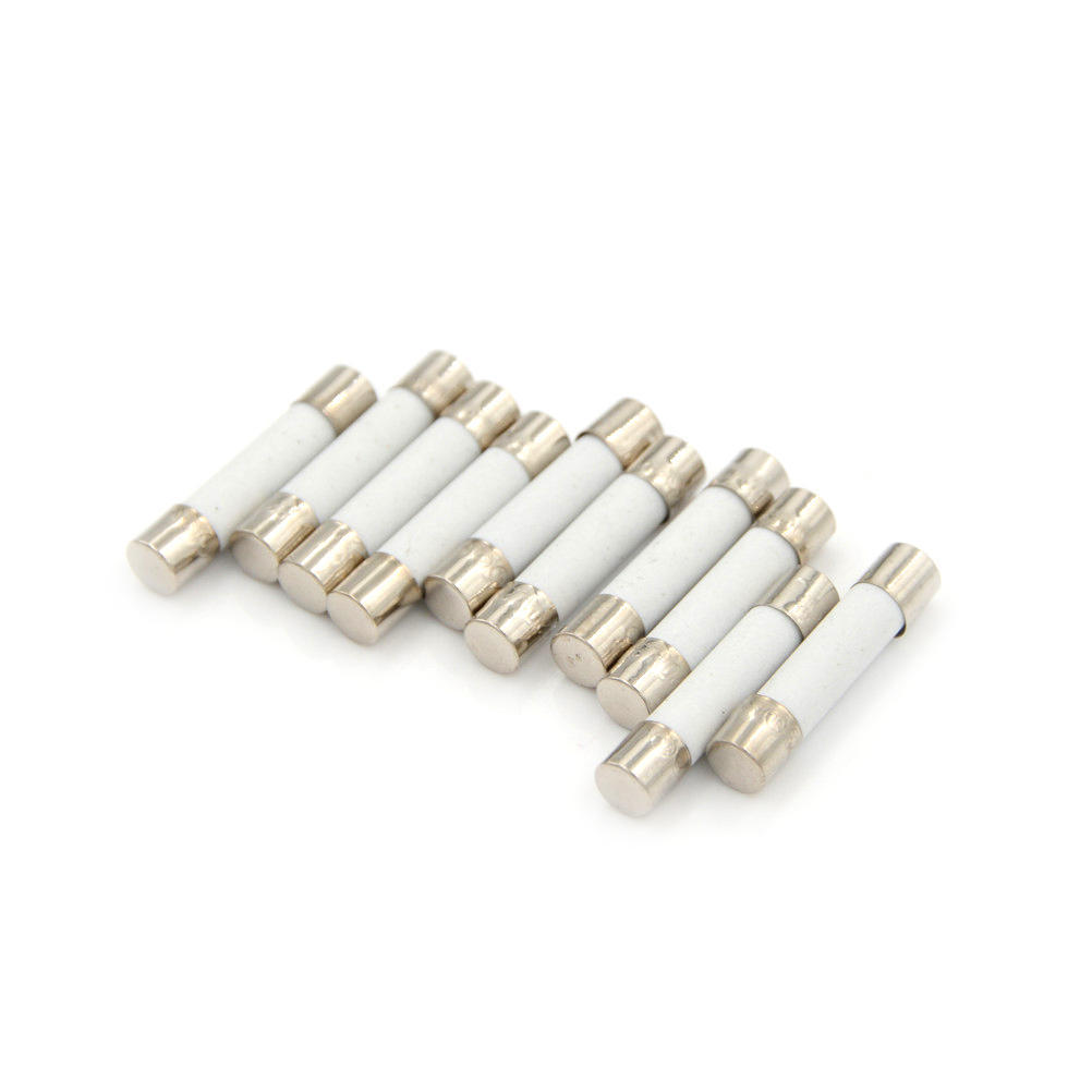 10Pcs Microwave Ceramic Fuse Electric 20A 250V Home Supplies DIY Replacement