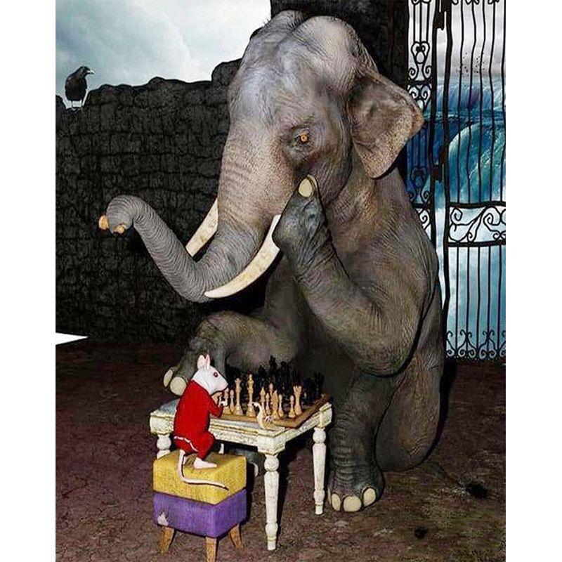 Colour Diamond Full Drill Painting Africa Elephant Cross Stitch Diamond Embroidery Animals 5d Diy Mosaic Decor For Ho