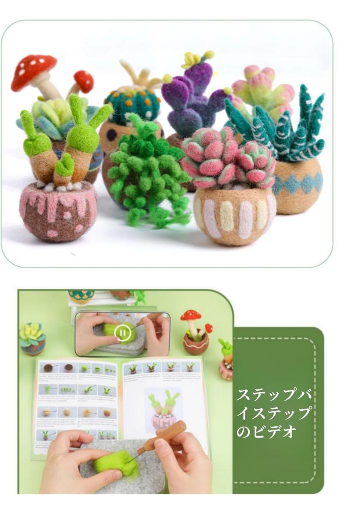 YFFSFDC Wool Felting Craft DIY Succulent Needle Felting 9-Piece Kit, Kit, Materials, Handmade, Beginner,