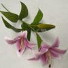 Cloth Realistic 3d Artificial Lilies Fake Flowers For Wedding Decor Home Props