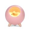 Creative LED Night Light Cute Cat Bluetooth Speaker Music Night Light Rechargeable Touch Sensing Bedroom Bedside Feeding Lamp