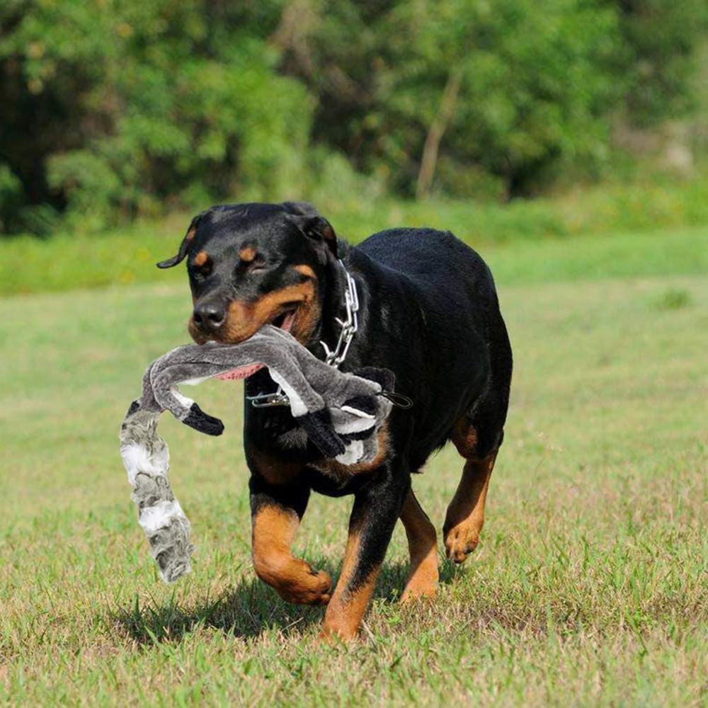Pet Plush Durable Chew Dog Toys Squeaky Toy Squeak Bite Toys