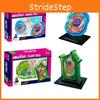Modelo 4D Mestre de Célula Vegetal Estrutura Microscópica Para Ensino Educacional Plástico PVC 26 Partes Exibição Escolar