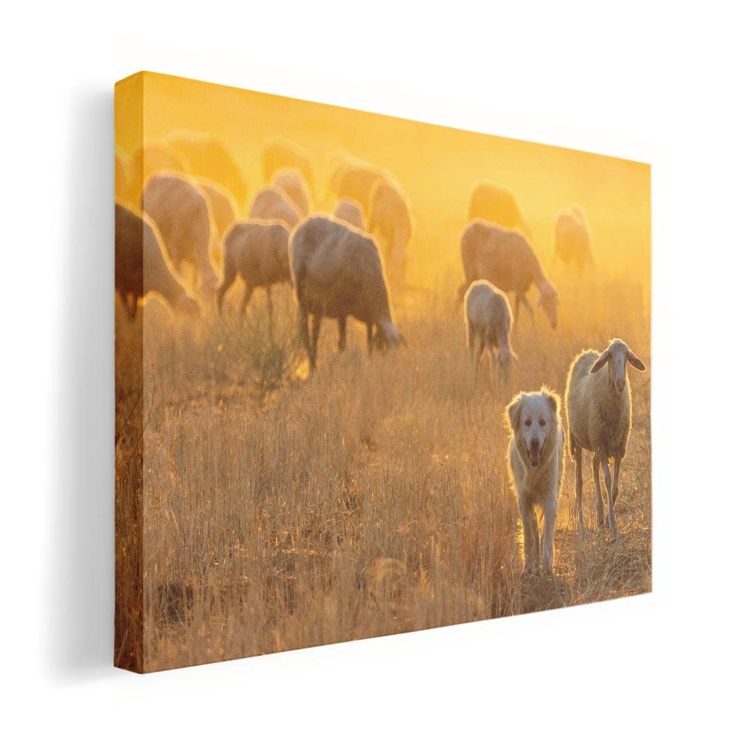 

Art Panel Painting Decoration igsticker 420mm x 297mm A3 Photo Wall Hanging Wooden Frame Interior Stylish 023788 Sheep Animal Dog