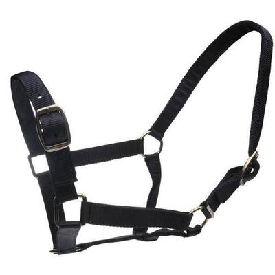 ROMA Horse Headcollar And Leadrope
