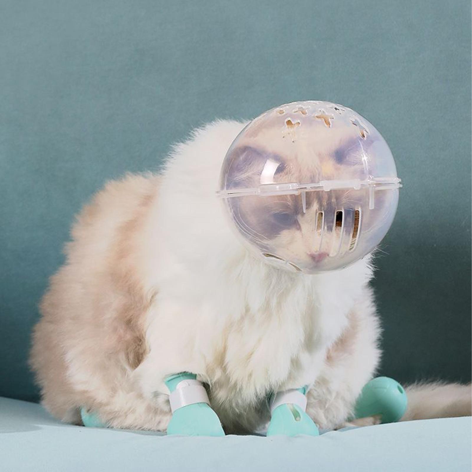 Cat Mouth Guard Muzzle Transparent Head Cover Adjustable Kitten Astronaut Helmet Shaving Pet Tools Guard Muzzle Chewing M