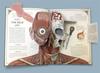 Der menschliche Körper: ein Pop-up-Leitfaden für Anatomy Walker