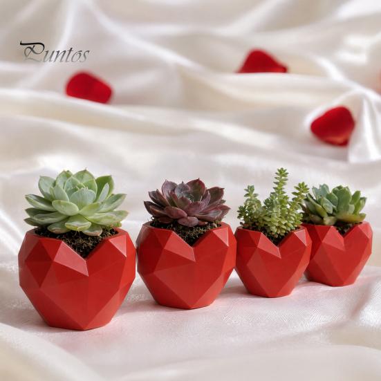 Love Heart Flowerpot Shape Planter Pot, 3D Printed Geometric PLA Plant Container Flowerpot, Cactus Succulents Plants Container, Gift for Valentine's